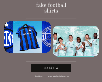 fake Inter Milan football shirts 23-24